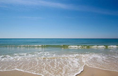 Gulf Shores Surf & Racquet Club 212A - Foto 27