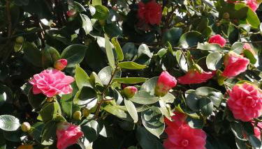 Casa Vacanze Le Violette - Foto 4, Other