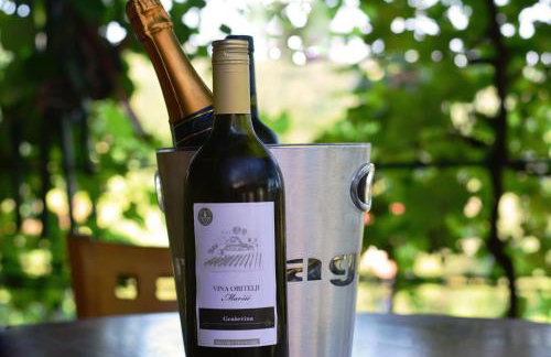 Vila Brloska - Foto 4