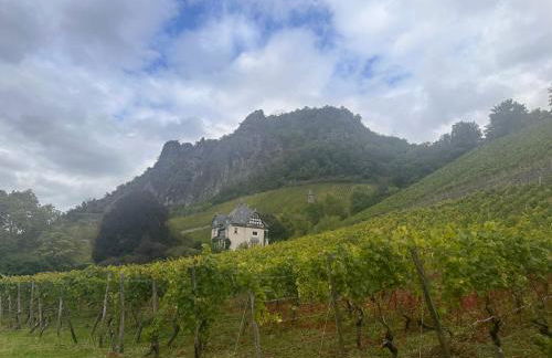 Apartment am Rhein - Foto 15