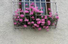 Casa Gianmoena - Foto 5