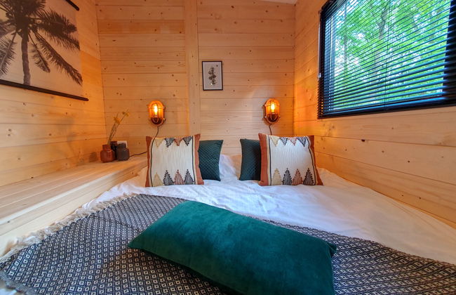 House in Belfeld with swimming pool and terrace - Photo 9