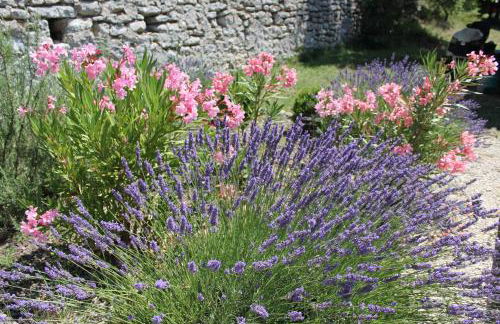 Château de Peyrolles - Photo 15