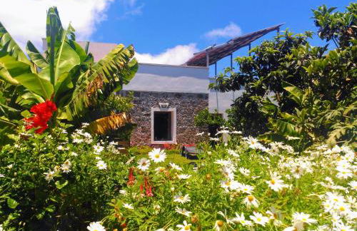 Villa Canaria piscina jacuzzi jardín - Foto 32