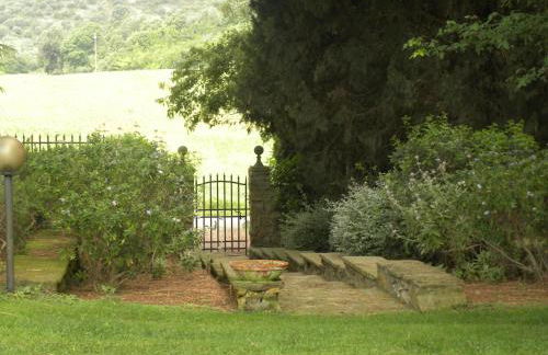 Ghiaccio Bosco - Foto 78