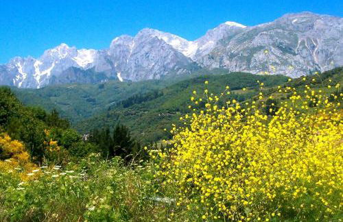 El Mirador de Armaño G-10235 - Foto 40