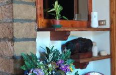 Casolare L'Antico Olivo - Foto 21