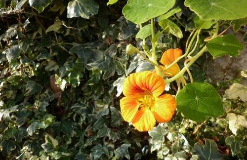 Country Garden House Holiday Homes - Foto 23