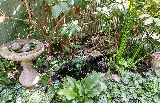 Charming London Retreat - Foto 57