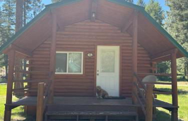 Lost Horse Lodge Double Queen Cabin 19 - PetsOK - Foto 12