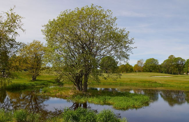 Grend Stavern - Foto 10