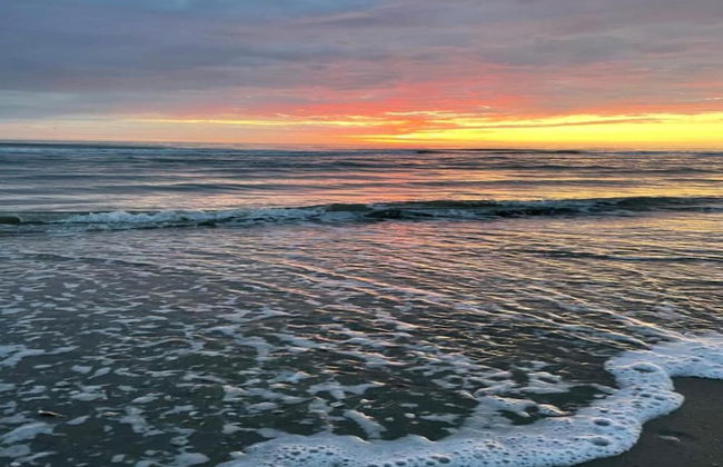 Elite Holiday Home in North Holland near Forest - Foto 26