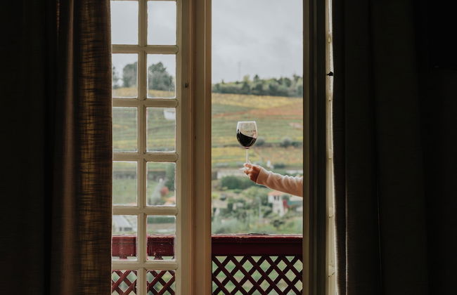 Casa do Salgueiral - Photo 23