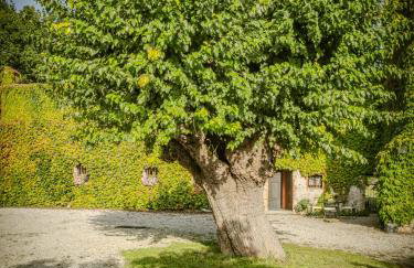 La Foresteria at Casaforte Bergum by the Gates of Cividale del Friuli - Foto 36