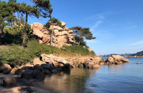 Les écolodges Sous Le Phare - Foto 29