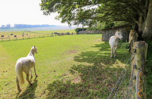 Todridge Barn - Foto 30