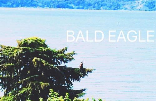 Beautiful Puget Sound Waterfront Villa - Foto 47