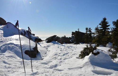 Verlegerhaus Seiffen - Foto 55