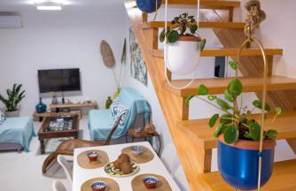 Coconut Blue - Photo 36