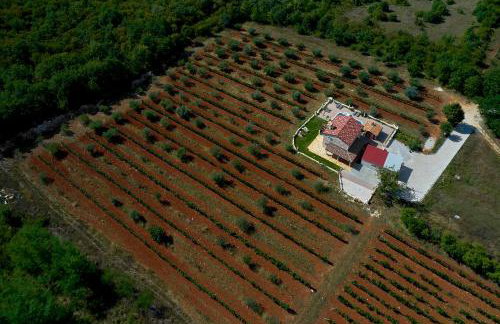 Relax house surrounded by olives and vineyard - Photo 57