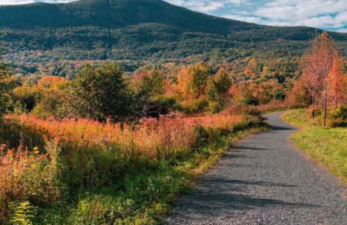 2 Bed Berkshire Getaway minutes to Jiminy Peak Ski - Foto 19