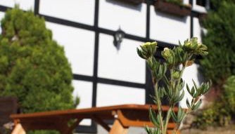 Wolfs Ferienhaus - Natürlich Eifel - Foto 3, Garden