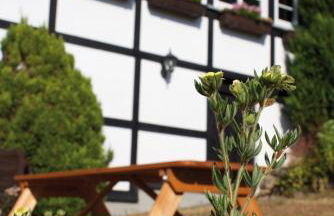 Wolfs Ferienhaus - Natürlich Eifel - Foto 3