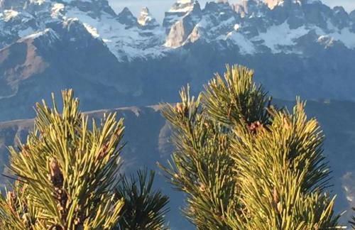 Alaska House - Yukon Room - Foto 56