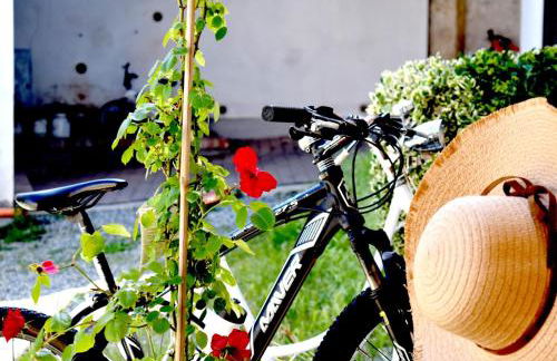 Appartamento in Monferrato di domInga - Foto 31