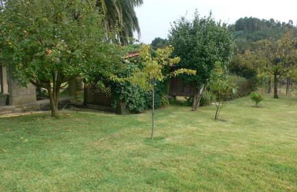 Casa do Tamanqueiro - Foto 5