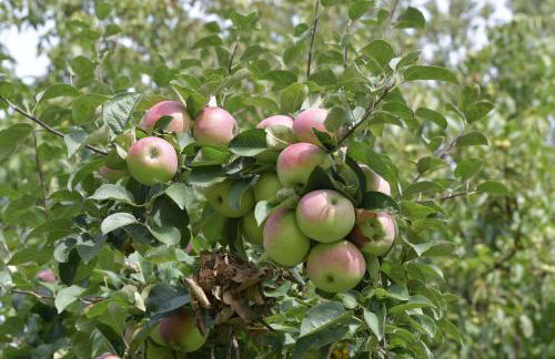 Do Góry Kołami - Foto 57