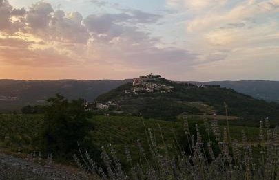 Villa Mare - a natural paradise near Motovun - Foto 37