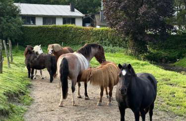 Ferienhof Riekeshof - Foto 14