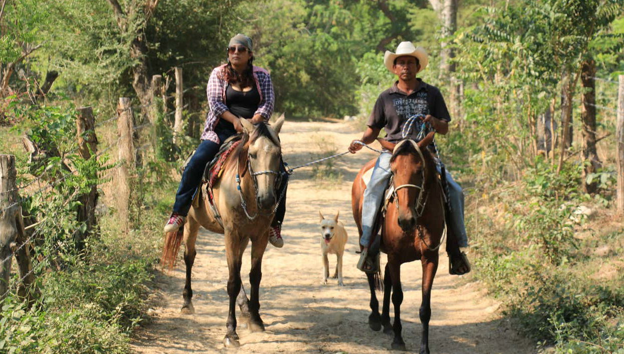 Passeio a cavalo por San José Manialtepec