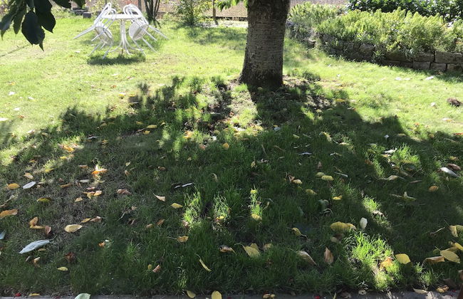 Ferienwohnungen Scheuring - Photo 42