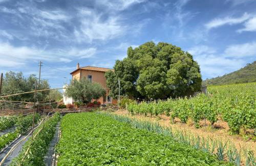 Monte Astili - Foto 33