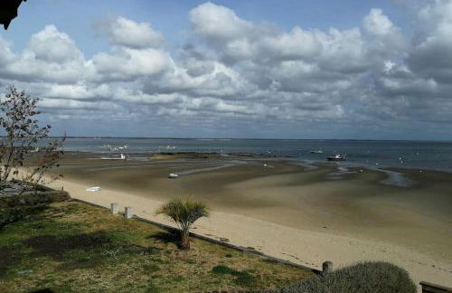 Entre dune et plage Les Jacquets Cap Ferret - Foto 18