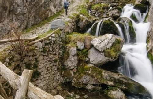 Casa Cuevas - Foto 10