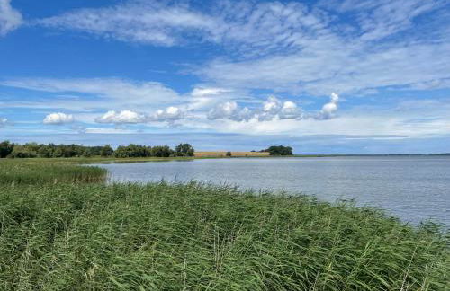 SandKorn 1 und 2 - Foto 20