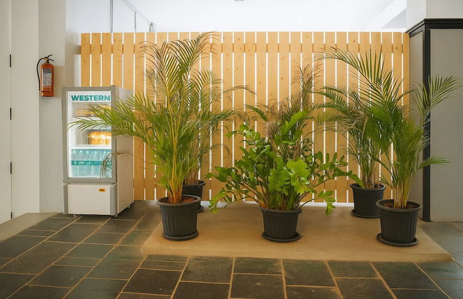 White Fern Stays - Foto 65