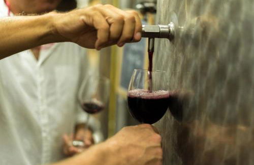 Agriturismo Streda Wine & Country Holiday - Foto 90