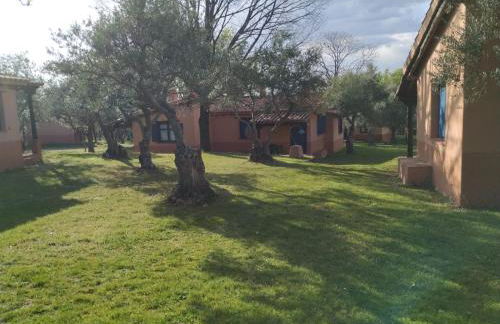 Aldea Vetonia Alojamientos con Encanto Parque de Mascotas-NO SE ACEPTAN EN JULIO Y AGOSTO- Varias zonas infantiles y deportivas "encuentranos y reserva para verano" - Foto 35