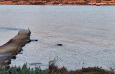 Mike'sPlace - Foto 52