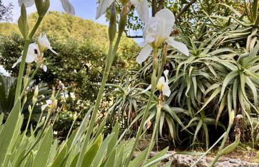 Verdeacqua my villa in the pinewood - Foto 50