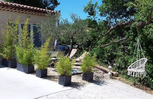 Au pays de la lavande... - Photo 3