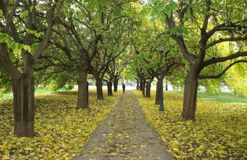 Apartamento Larraina - Photo 16