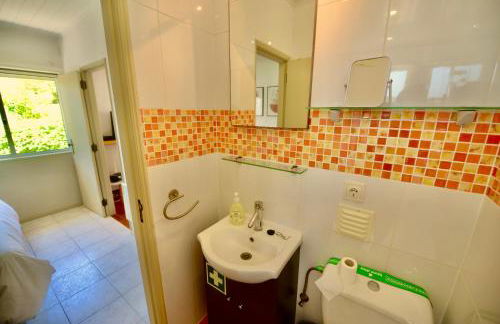 Laranjeira - House with private garden and pool - Foto 10