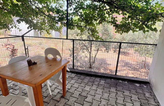 Adrasan Parlak Evleri - Foto 77