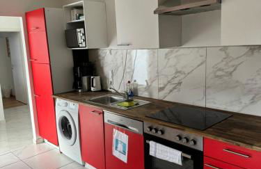 Sahara Falcon - Photo 10