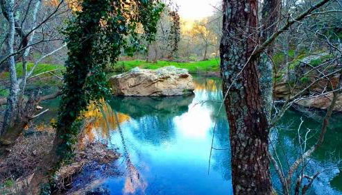 A casa da Maria - Foto 4